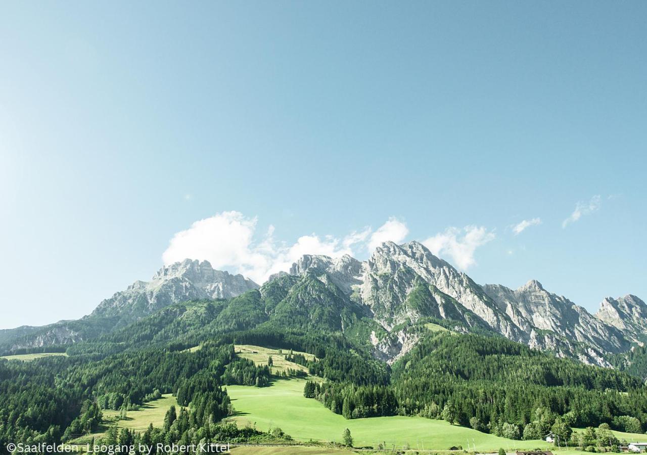 Appartements Kuckuck Leogang Εξωτερικό φωτογραφία
